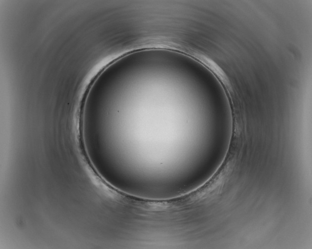 X0000111601144200907161548