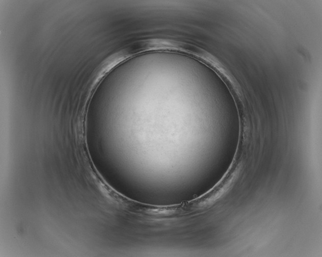 X0000111601145200907161548