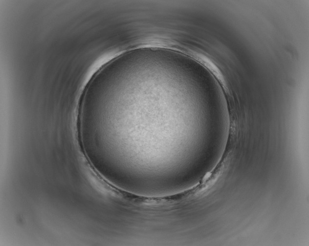 X0000111601146200907161548