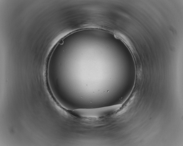 X0000111601149200907161548