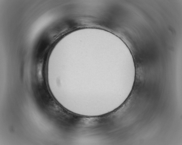 X0000111601150200907161548