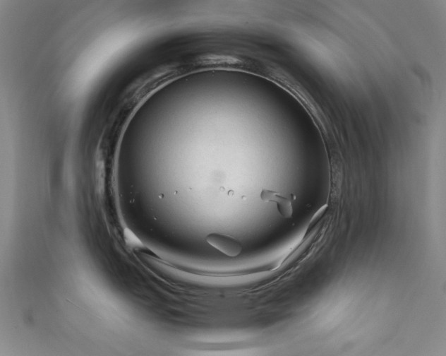 X0000111601151200907161548