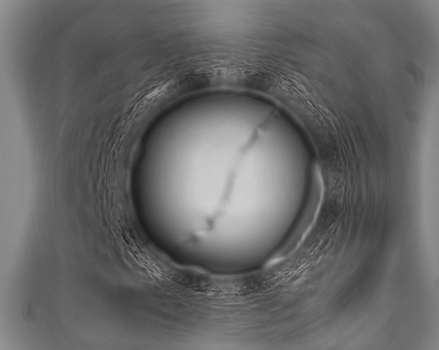 X0000111601153200907161547