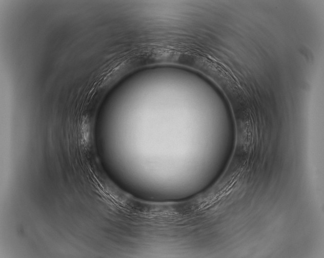 X0000111601154200907161547