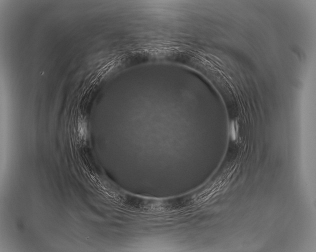 X0000111601155200907161547
