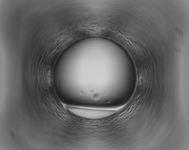 X0000111601156200907161547