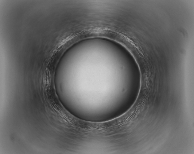 X0000111601158200907161547