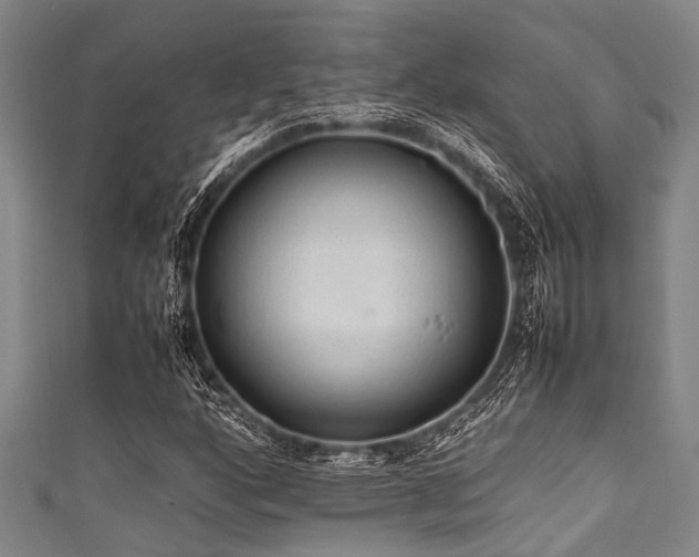 X0000111601160200907161547