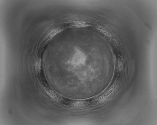 X0000111601161200907161547