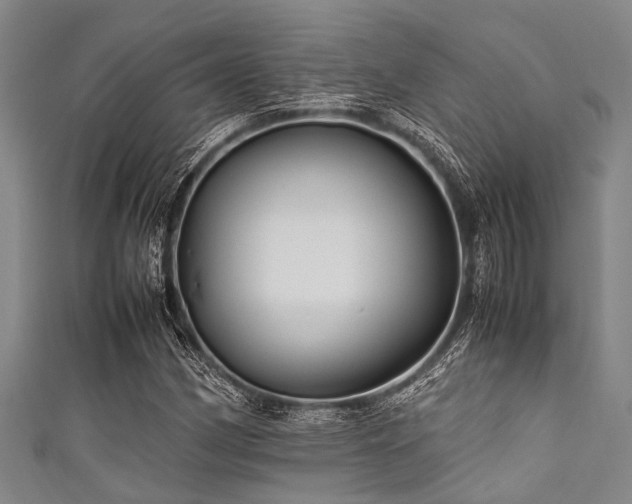 X0000111601162200907161547