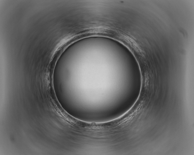 X0000111601164200907161547