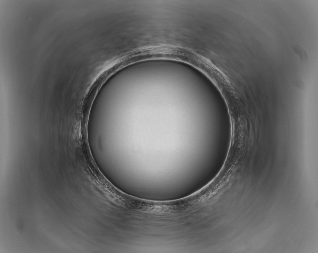 X0000111601166200907161547