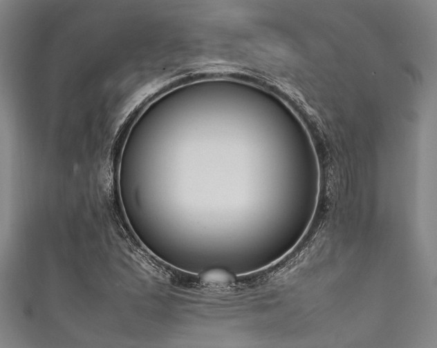 X0000111601167200907161547