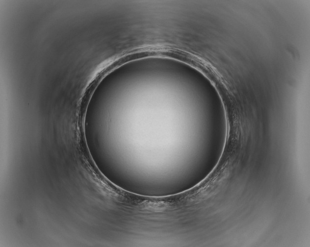 X0000111601168200907161547