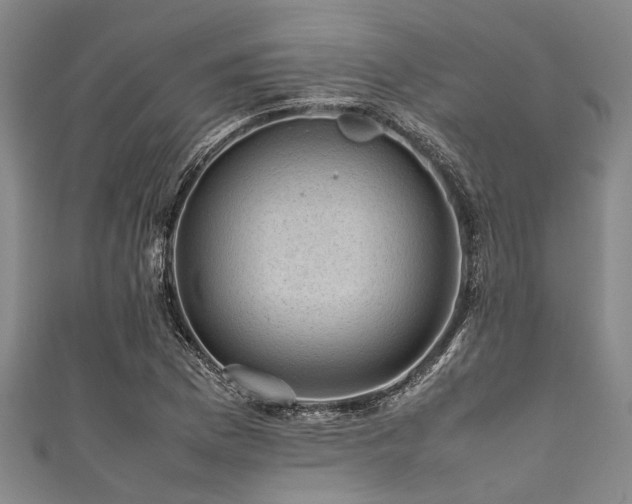 X0000111601169200907161547
