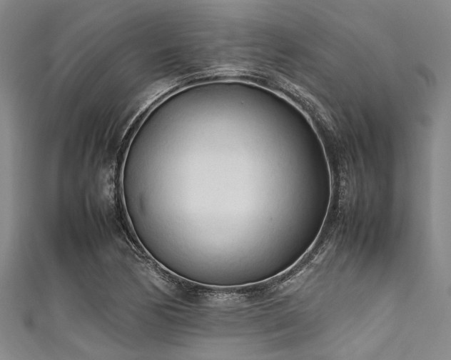 X0000111601170200907161547