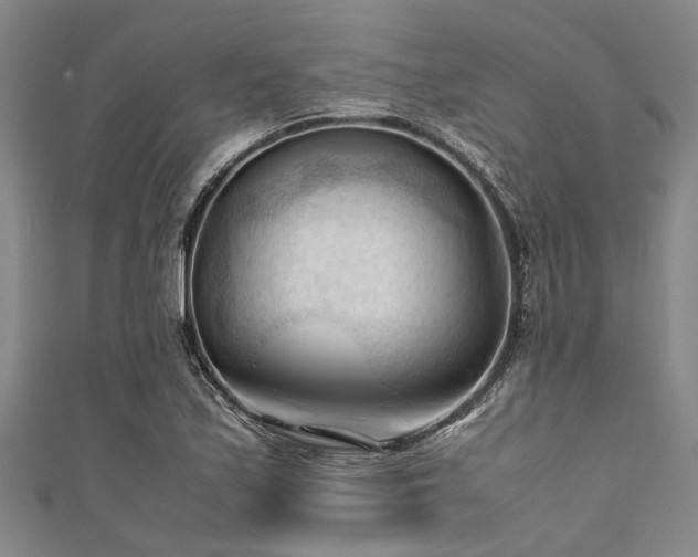 X0000111601171200907161547