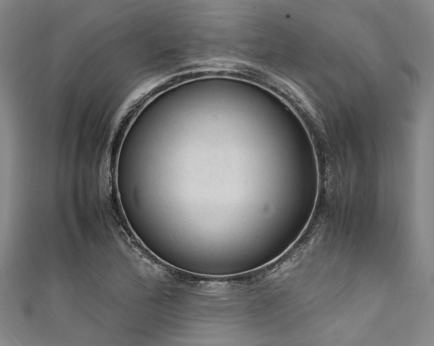 X0000111601172200907161547