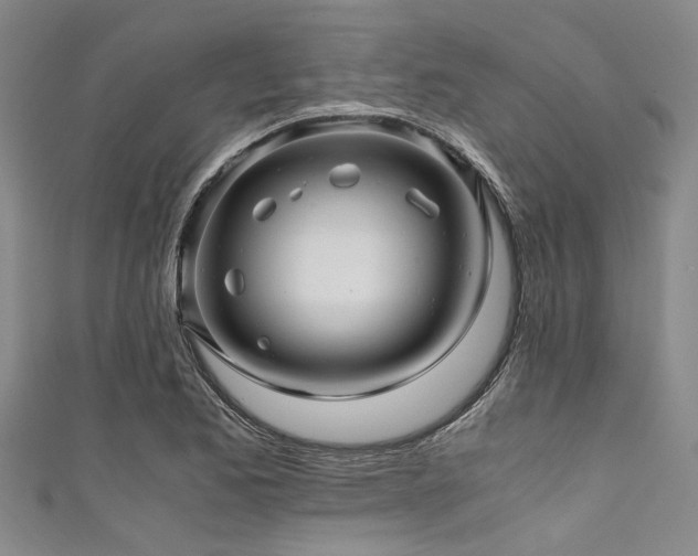 X0000111601173200907161547