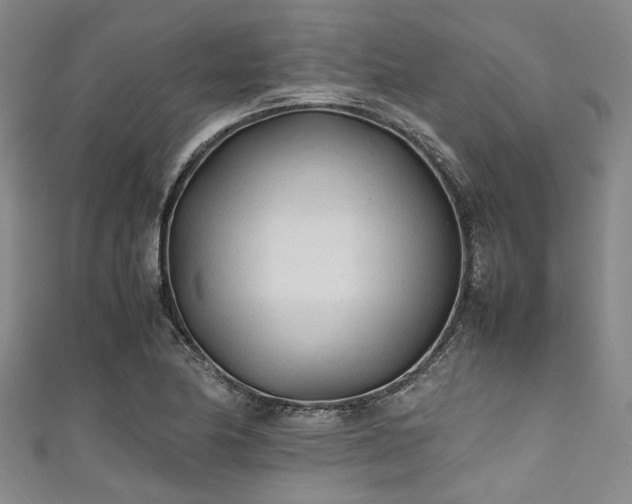 X0000111601174200907161547