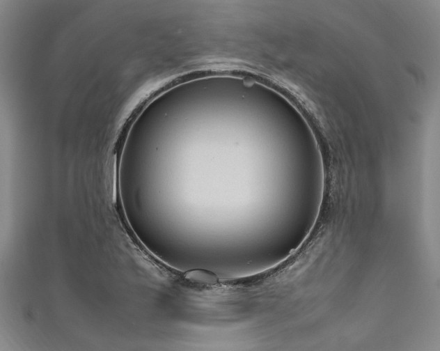 X0000111601175200907161547