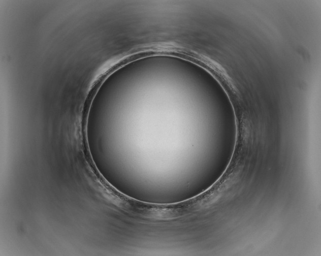 X0000111601176200907161547