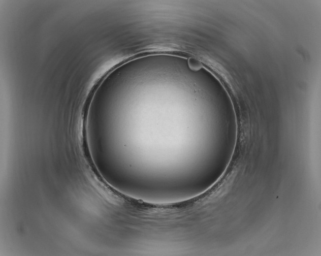 X0000111601179200907161547