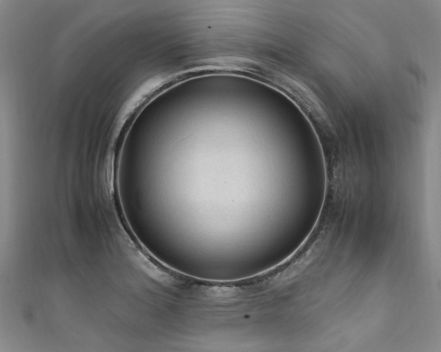 X0000111601180200907161547