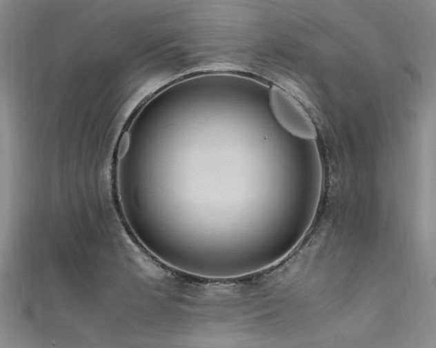 X0000111601181200907161547