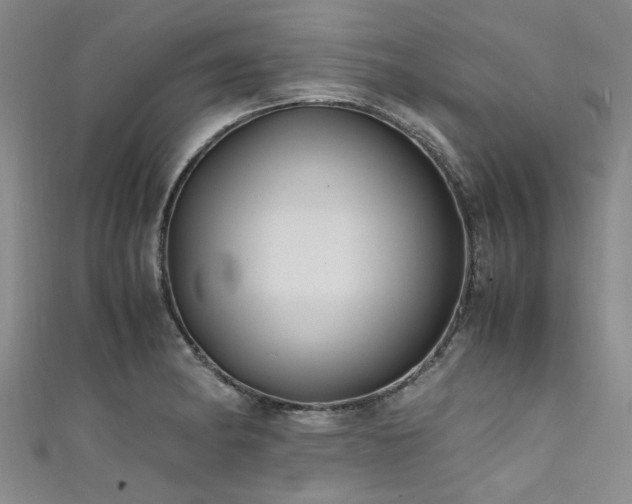 X0000111601182200907161547