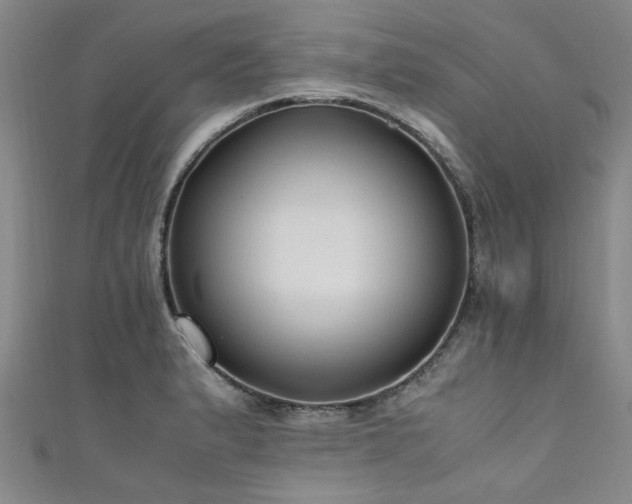 X0000111601183200907161547