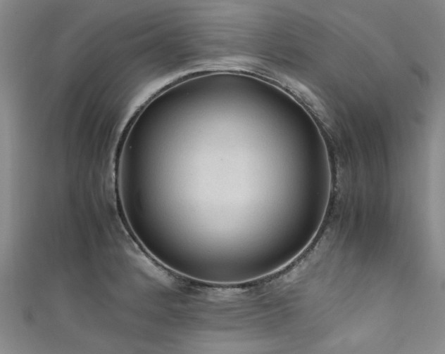X0000111601184200907161547