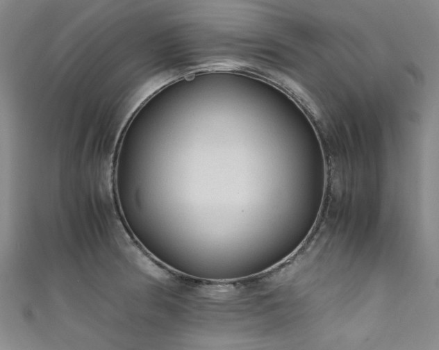 X0000111601186200907161547