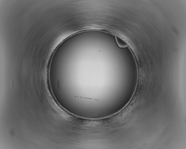 X0000111601187200907161547