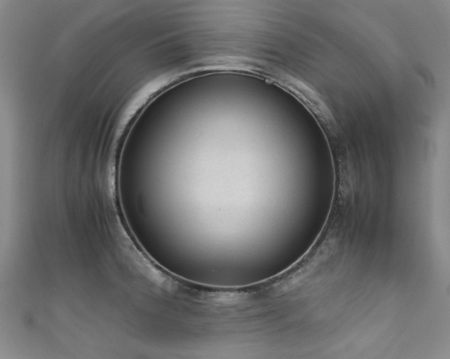 X0000111601188200907161547