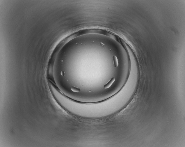X0000111601189200907161547