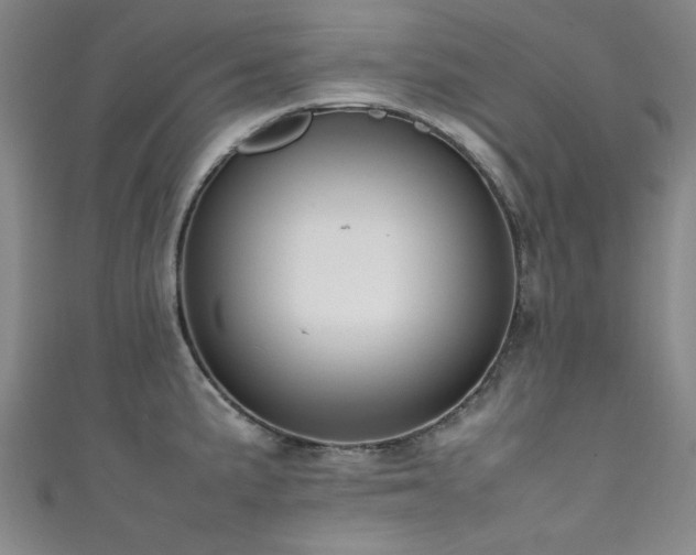 X0000111601191200907161547
