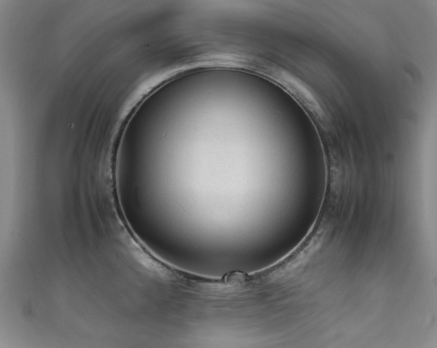 X0000111601192200907161547