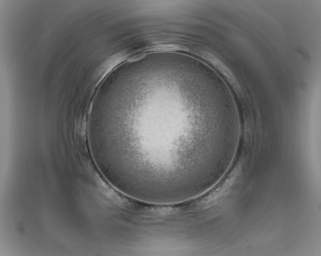 X0000111601193200907161546