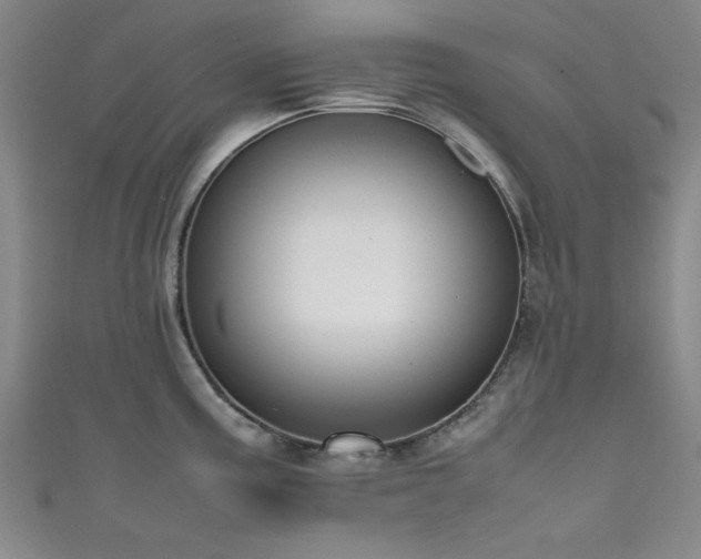 X0000111601195200907161546