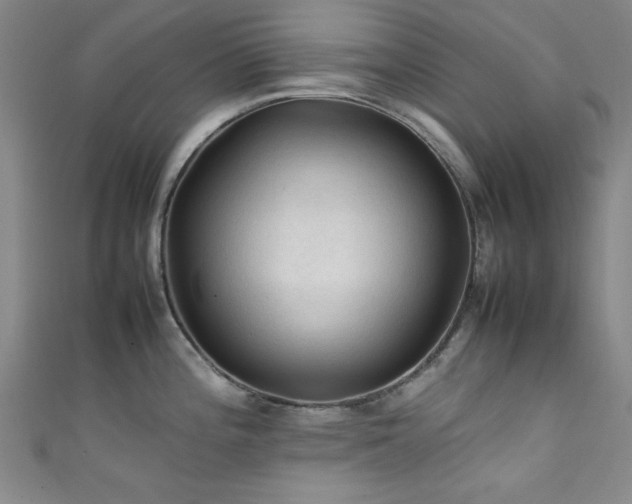 X0000111601196200907161546