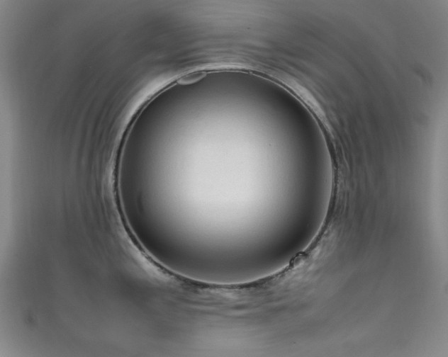 X0000111601197200907161546