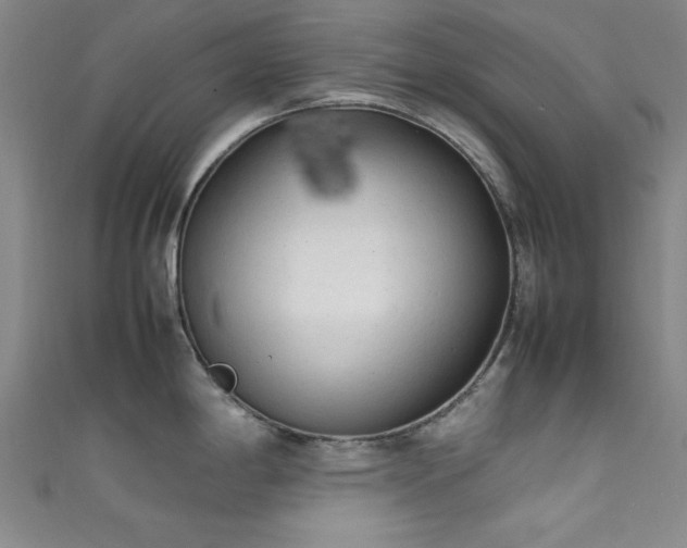 X0000111601198200907161546
