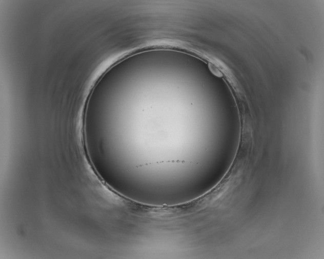 X0000111601199200907161546