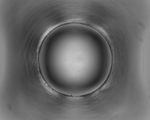 X0000111601200200907161546
