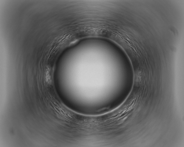 X0000111601202200907161546