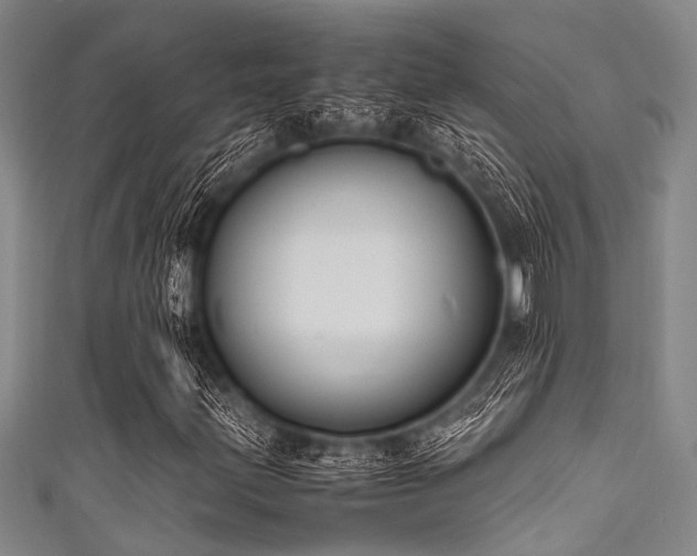 X0000111601203200907161546
