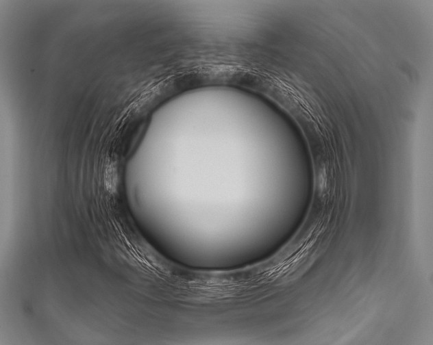X0000111601204200907161546