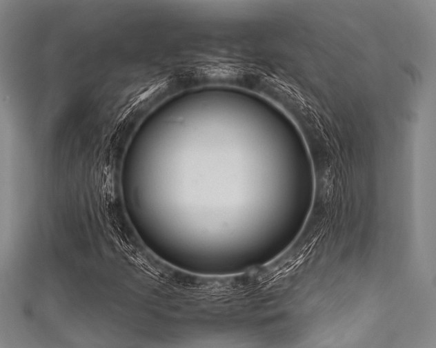 X0000111601205200907161546