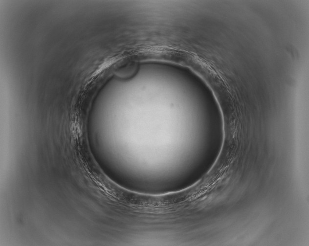 X0000111601206200907161546